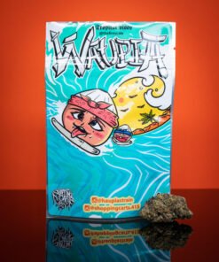 Buy Waupia strain - HaupiaStrain Store
